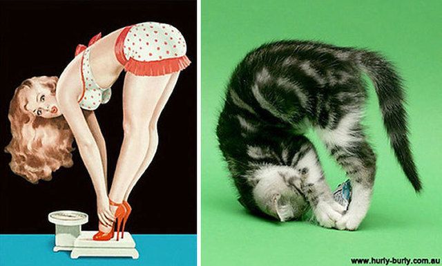 1483596146 cats vintage pin up girls 20 586666f281ab3  700