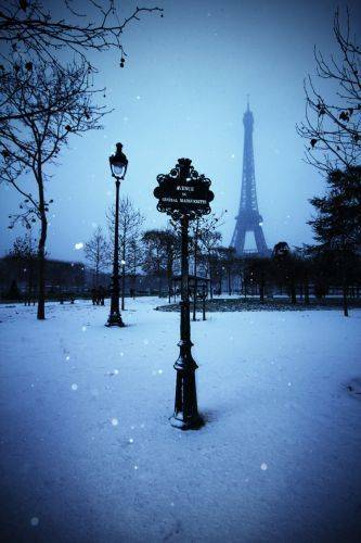 image_28253