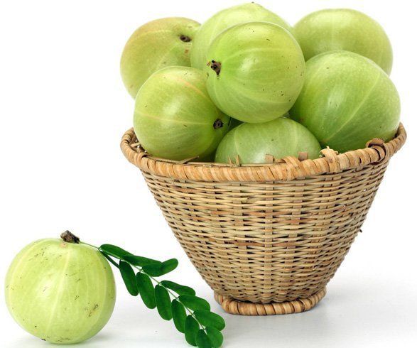 1484632389 health benefits of amla