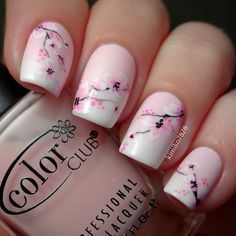 image_285262