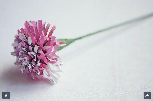 image_287775