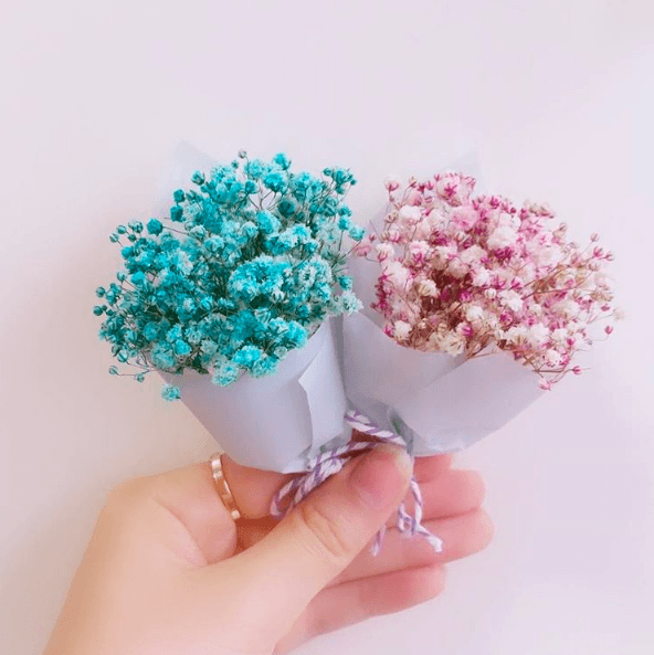 1485257795 flower 2