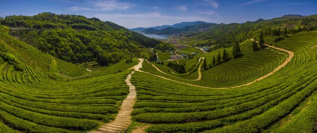 image_292344