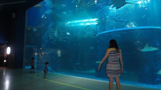 image_292473