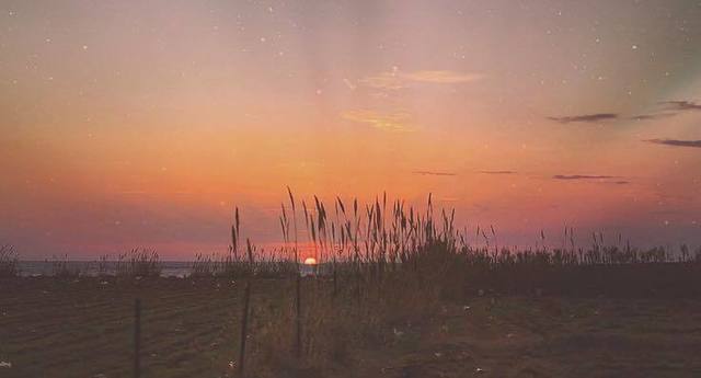 image_293622