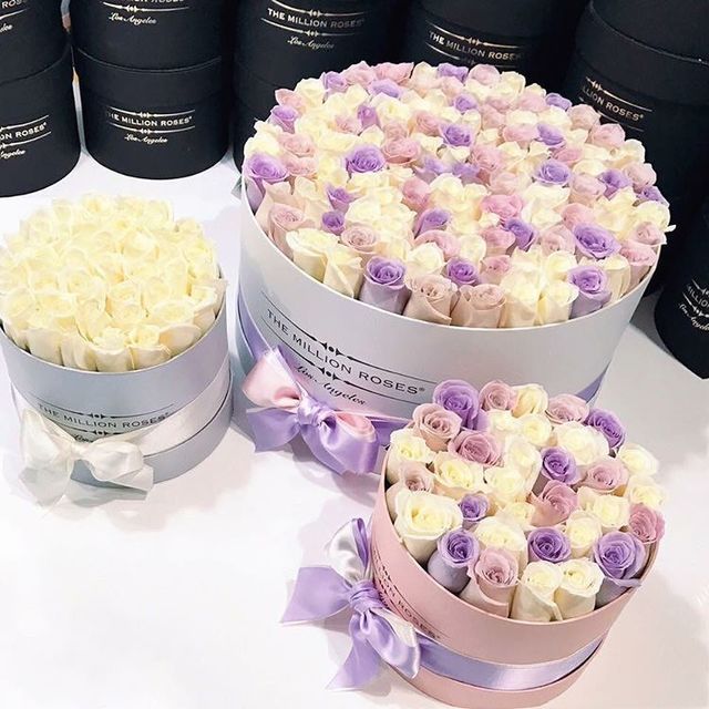 https://image.sistacafe.com/images/uploads/content_image/image/296682/1486449522-15538545_735701966595714_8257196058170359808_n.jpg