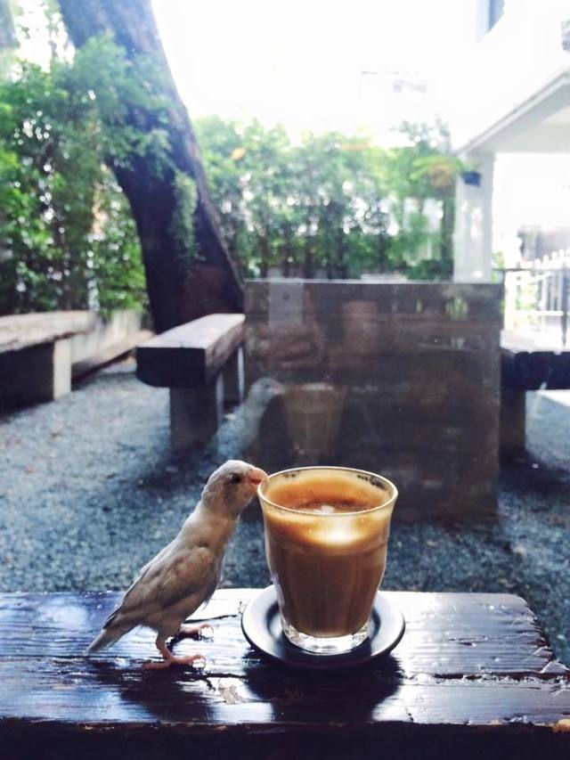 คาเฟ่น่ารักน่าเที่ยวในกรุงเทพ ร้าน Hello Strangers Cafe