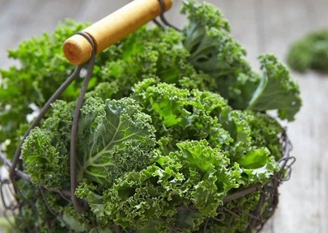 ผักเคล kale ผักยอดนิยม ในการเป็นวัตถุดิบลดน้ำหนัก