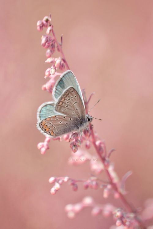 image_304096