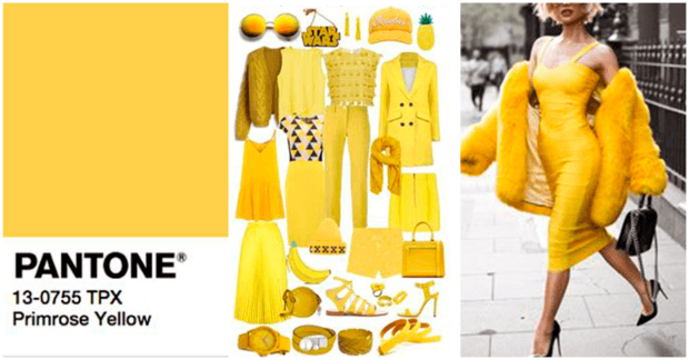 1487572297 pimrose yellow collage 620x324