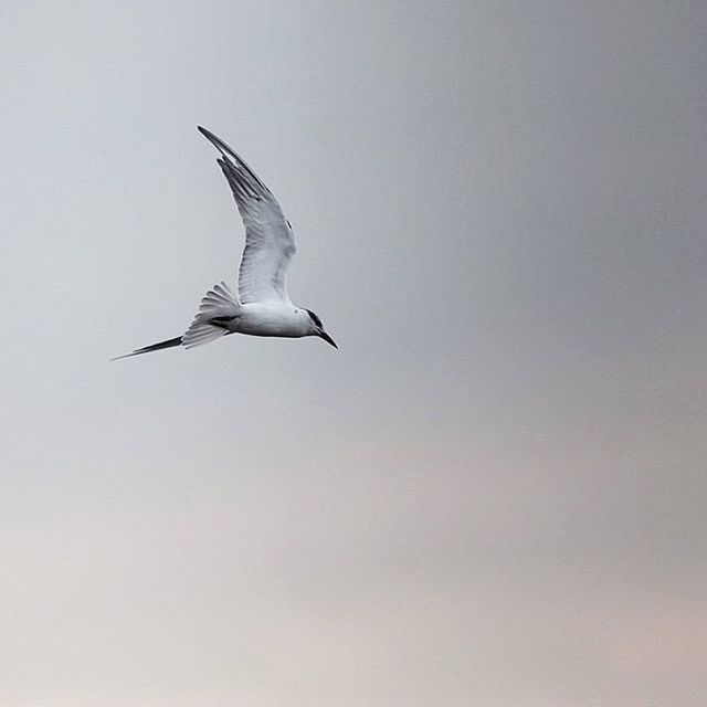 image_304599