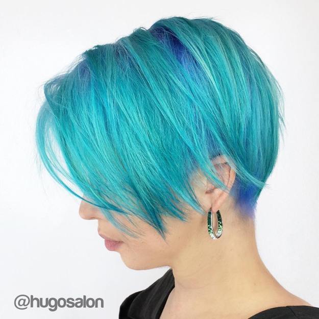 1487916581 4 turquoise pixie bob with blue roots