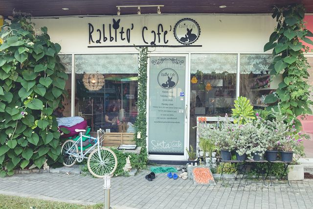ร้านกาแฟในกรุงเทพ คาเฟ่กระต่าย rabbito cafe
