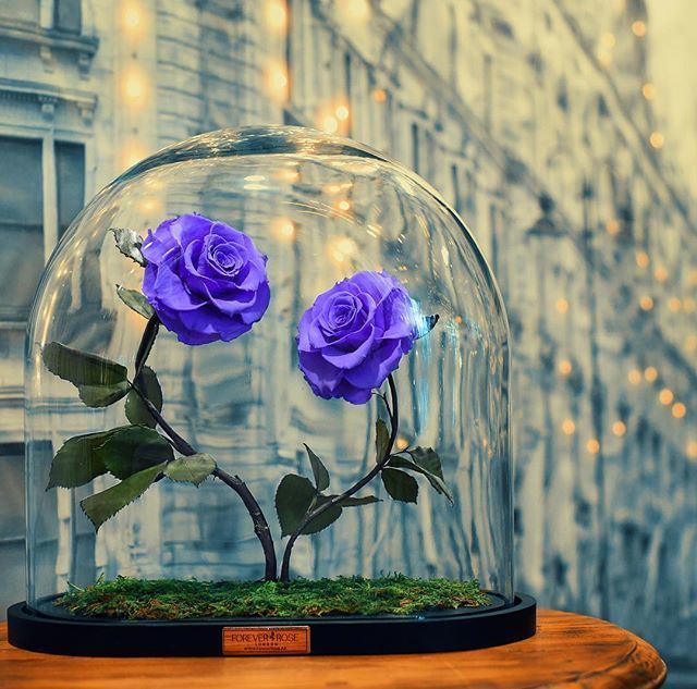 https://image.sistacafe.com/images/uploads/content_image/image/312435/1488773843-15625074_361326387576573_5160788954336722944_n.jpg