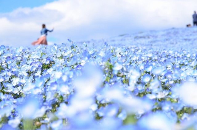 1489583164 japan 2