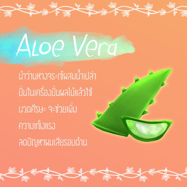 1489927470 aloe