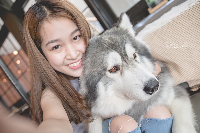 ร้านกาแฟในกรุงเทพ คาเฟ่ dog in town