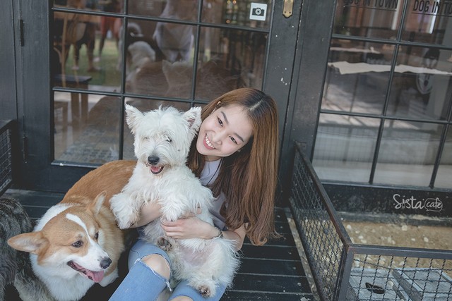 ร้านกาแฟในกรุงเทพ คาเฟ่ dog in town