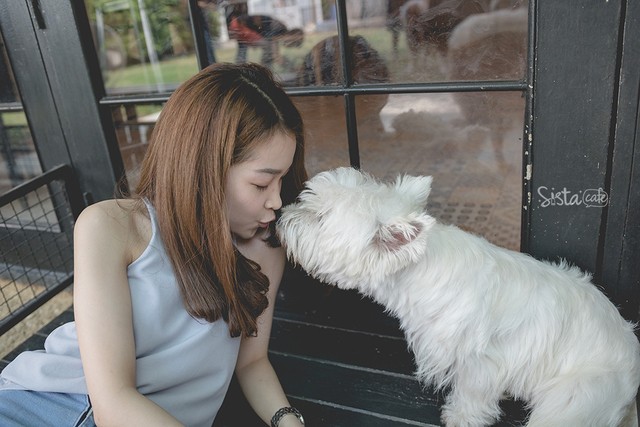 ร้านกาแฟในกรุงเทพ คาเฟ่ dog in town