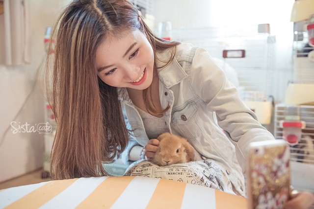 ร้านกาแฟในกรุงเทพ คาเฟ่กระต่าย rabbito cafe
