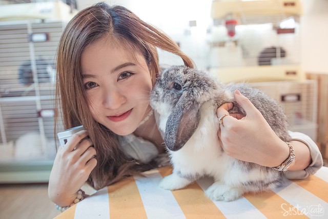 ร้านกาแฟในกรุงเทพ คาเฟ่กระต่าย rabbito cafe