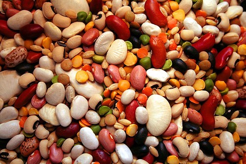 1490876562 legumes