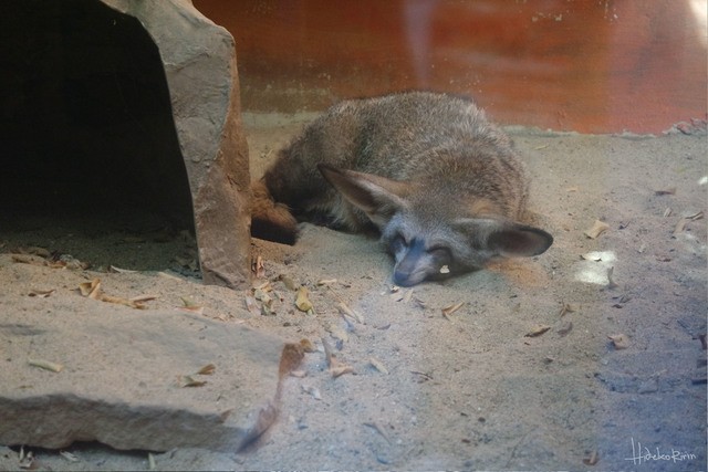 image_327399