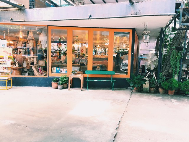 คาเฟ่แมว สุขุมวิท 53 ชิโกะคาเฟ่ ร้าน Chico