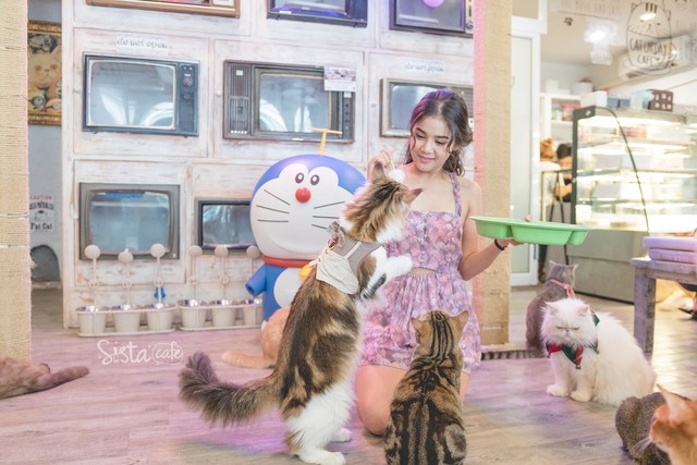 รีวิวคาเฟ่ คาเฟ่แมว คาเฟ่ Caturday Cat Cafe