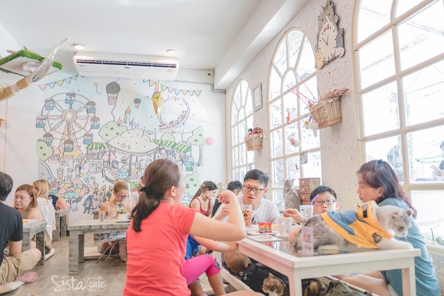 รีวิวคาเฟ่ คาเฟ่แมว คาเฟ่ Caturday Cat Cafe