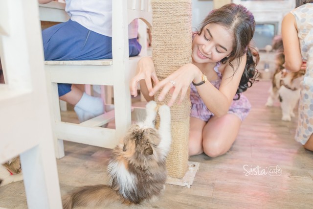 รีวิวคาเฟ่ คาเฟ่แมว คาเฟ่ Caturday Cat Cafe