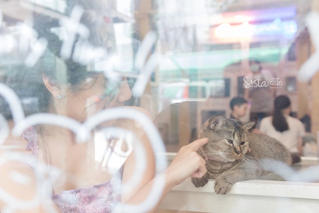 รีวิวคาเฟ่ คาเฟ่แมว คาเฟ่ Caturday Cat Cafe