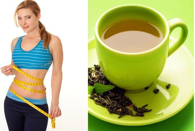 1492933402 green tea for weight loss