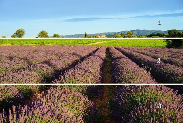 1493012966 lavender field 1595551 960 720