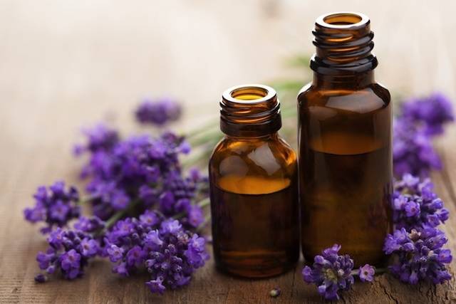 https://image.sistacafe.com/images/uploads/content_image/image/34589/1441861151-LavendarEssentialOilssmall.jpg