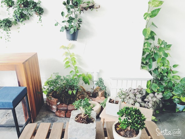 คาเฟ่ชาเขียว น่ารักๆ สุขุมวิท 39 Tealily Cafe สวนญี่ปุ่น
