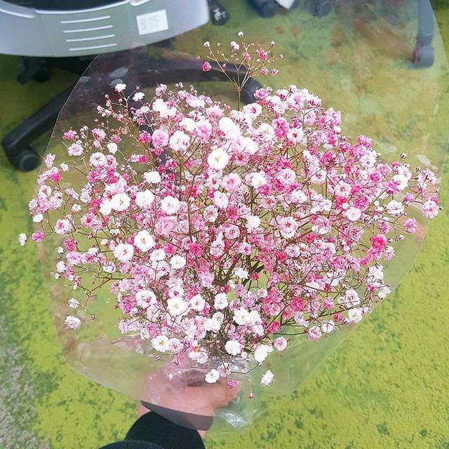 image_347925