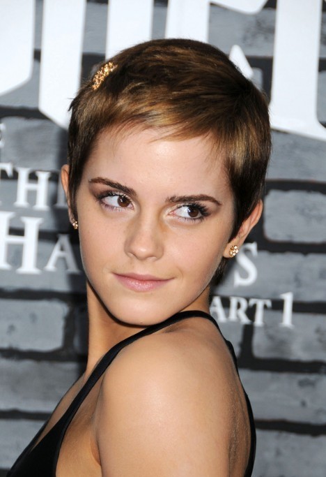 1493635555 piecey pixie