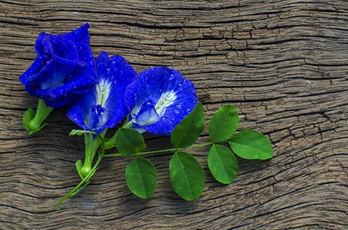 image_348180