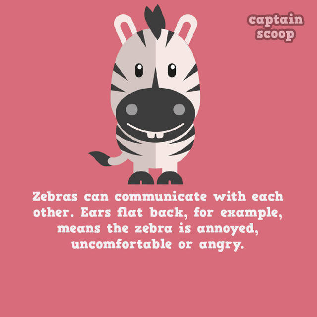 https://image.sistacafe.com/images/uploads/content_image/image/35421/1441955377-15-Amazing-Facts-You-Didnt-Know-About-Animals7__880.jpg