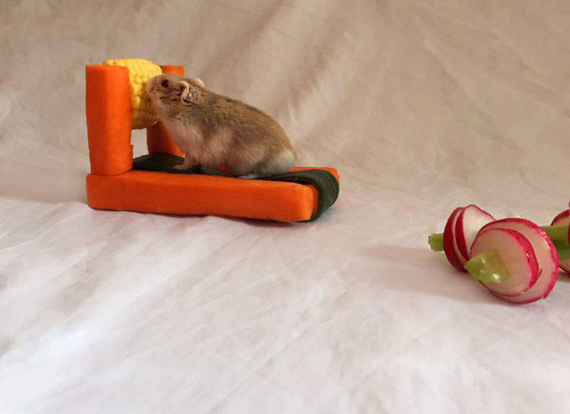image_35570