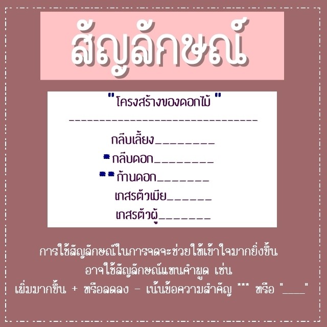 1495093042 0017 foto34