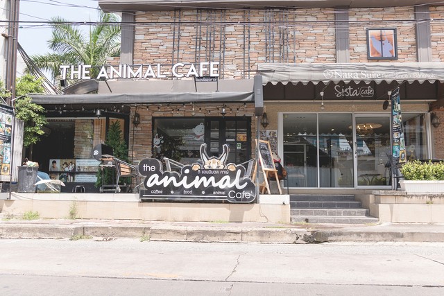 รีวิว คาเฟ่สัตว์ The Animal Cafe