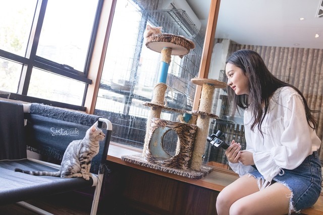 รีวิว คาเฟ่สัตว์ The Animal Cafe