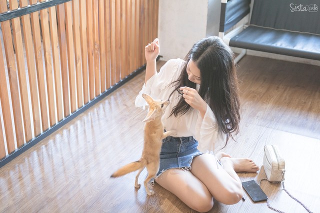 รีวิว คาเฟ่สัตว์ The Animal Cafe