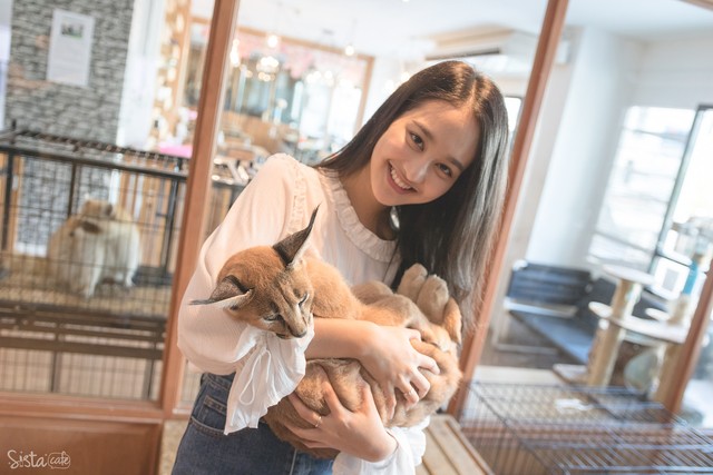 รีวิว คาเฟ่สัตว์ The Animal Cafe