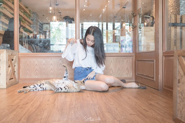 รีวิว คาเฟ่สัตว์ The Animal Cafe