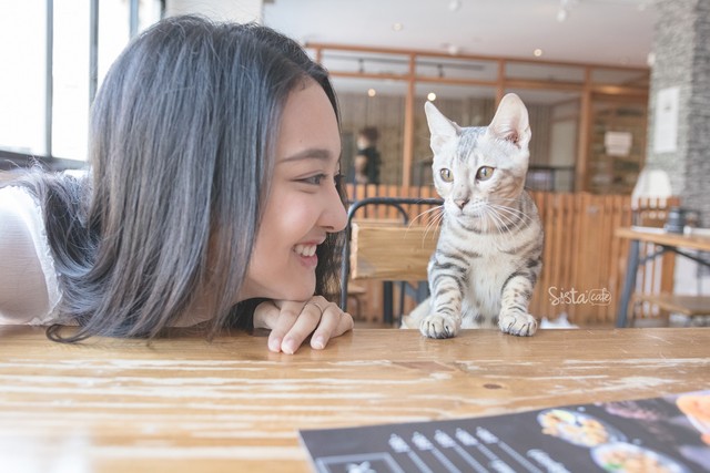 รีวิว คาเฟ่สัตว์ The Animal Cafe