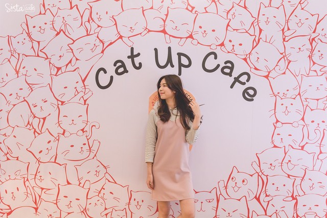 รีวิว คาเฟ่สัตว์ Cat Up Cafe