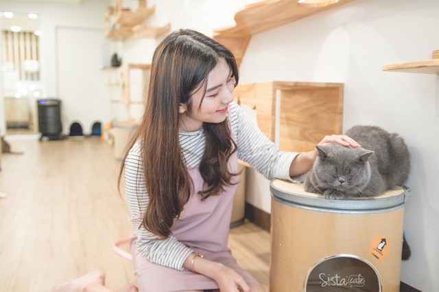 รีวิว คาเฟ่สัตว์ Cat Up Cafe